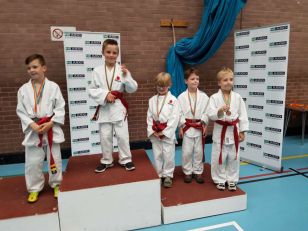 Judo Success!